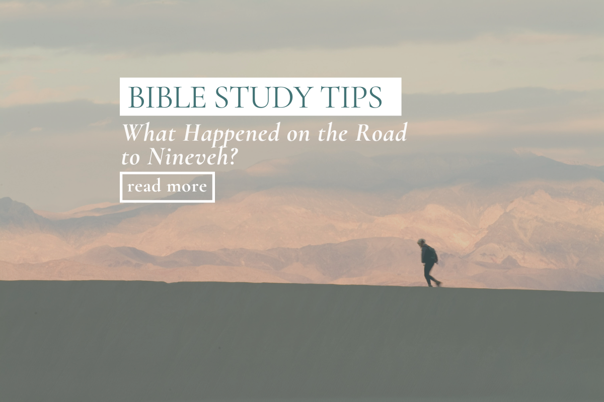 What Happened on the Road to Nineveh?