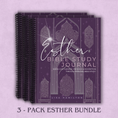 Load image into Gallery viewer, Esther Bible Study Journal, 3-pack of spiral-bound journals
