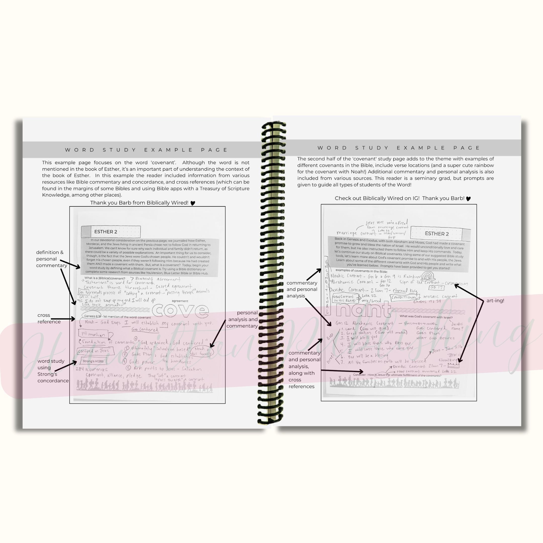 Esther Bible Study Journal (Spiral-Bound)