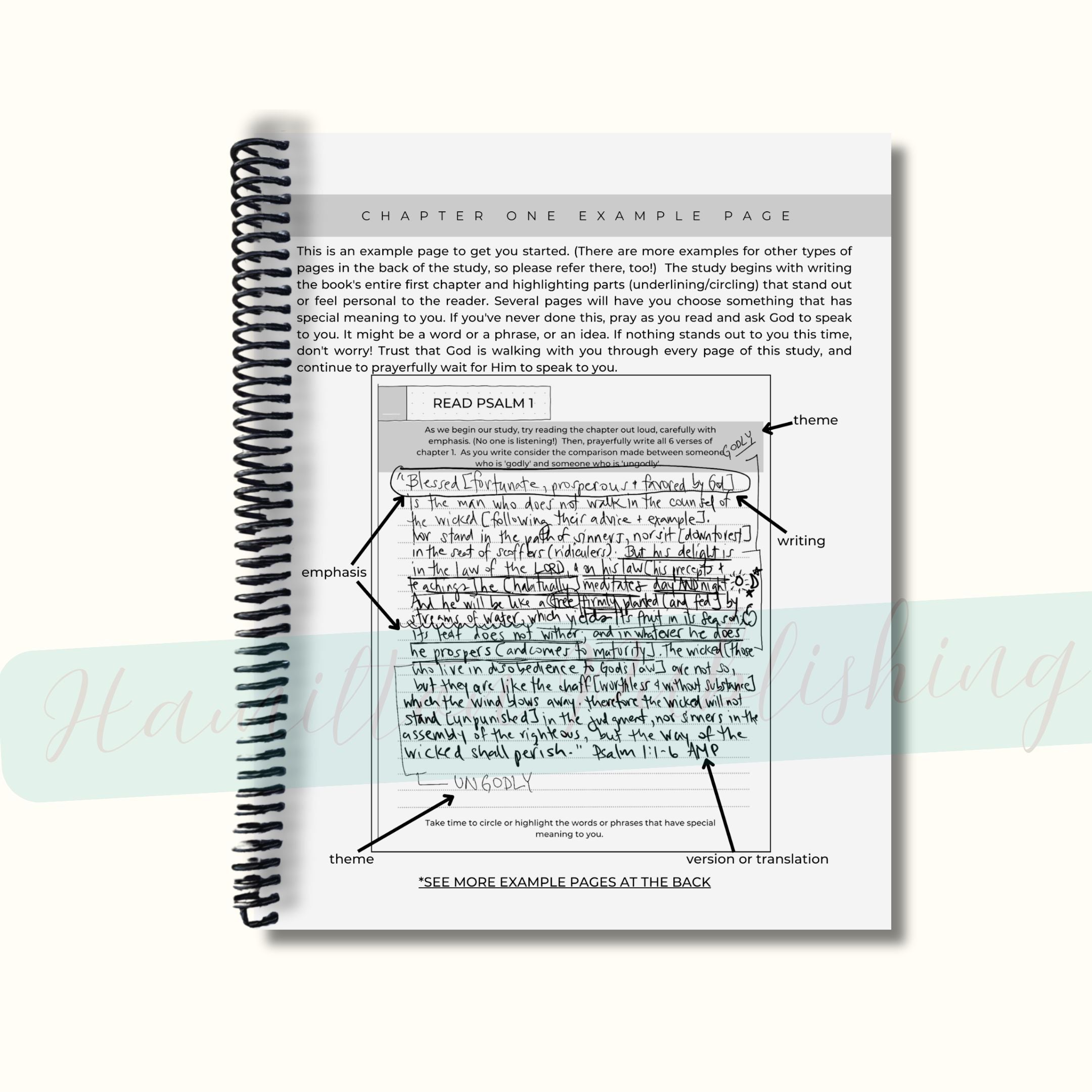 Psalms Bible Study Journal (Spiral-Bound)